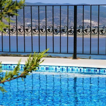 Evoteli Group Turquoise * Bogazici
